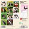 BrownTrout; Boston Terrier Puppies | 2027 7 x 14 Inch (Hanging) Monthly Mini Wall Calendar; Category:Wall Calendars; Image:3